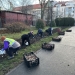 Lalelele vor „inunda” și Parcul Botanic din Timișoara, din 2025