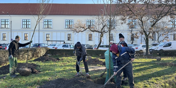 Șase specii de arbori plantați într-o zonă poluată din Timișoara