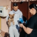 Peste 600 de câini recenzați în Timișoara după aproape 3 luni de recensământ