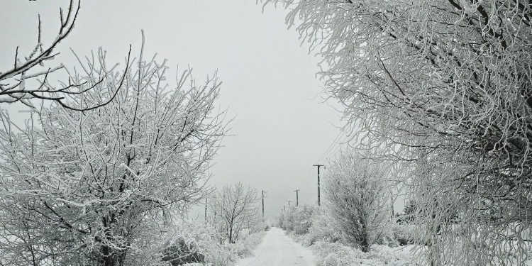 Ninsoare de origine industrială la Chișoda