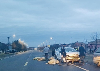 Oi moarte după ce au fost lovite de o mașină pe un drum din Timiș