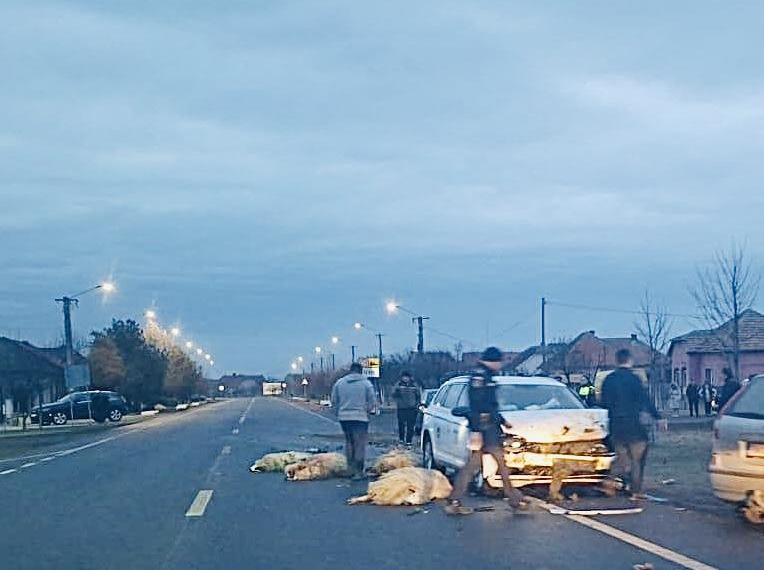 Oi moarte după ce au fost lovite de o mașină pe un drum din Timiș