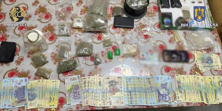 Teancuri de bani găsiți la traficanți de droguri din vestul țării