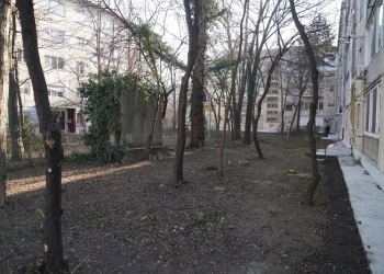 Dominic Fritz: Am intrat în așa-zisele zone verzi dintre blocuri, spații uitate de ani buni FOTO