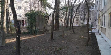 Dominic Fritz: Am intrat în așa-zisele zone verzi dintre blocuri, spații uitate de ani buni FOTO