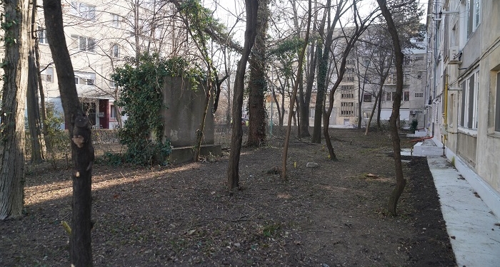 Dominic Fritz: Am intrat în așa-zisele zone verzi dintre blocuri, spații uitate de ani buni FOTO