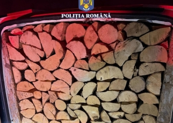 Transporturi ilegale de lemne pe drumuri din Lugoj, descoperite de polițiști
