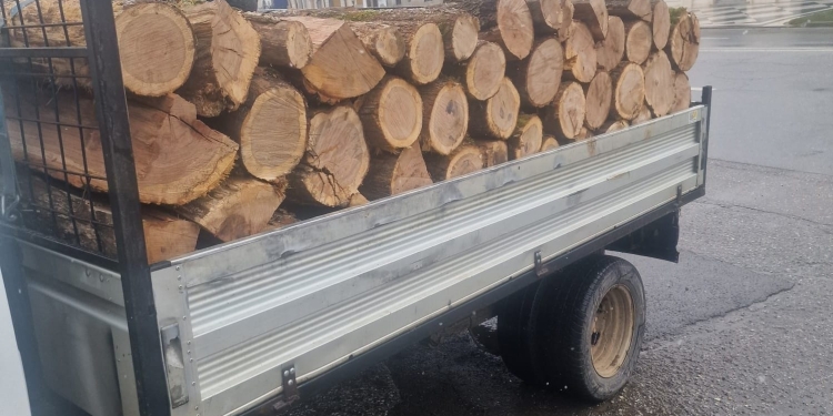 Șofer amendat și lăsat fără lemnul pe care-l transporta ilegal, la Lugoj