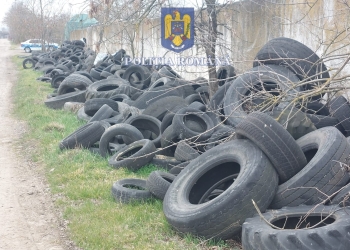 Polițiștii din Timiș, dosare penale pentru mormane de gunoaie