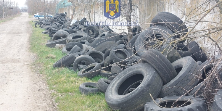 Polițiștii din Timiș, dosare penale pentru mormane de gunoaie