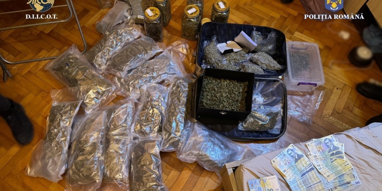 Kilograme întregi de droguri și teancuri de bani, capturate de polițiștii din Timișoara
