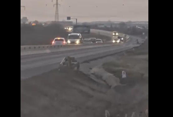 Inconștiență! Șofer pe contrasens, pe centura Timișoarei