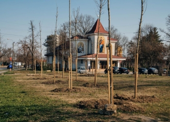 Înverzirea cartierelor timișorene! Primăria extinde programul