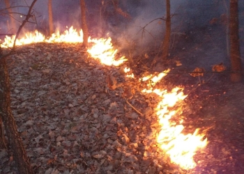 36 de incendii de vegetație uscată în Timiș, în ultimele două zile