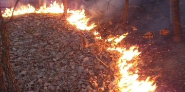 36 de incendii de vegetație uscată în Timiș, în ultimele două zile