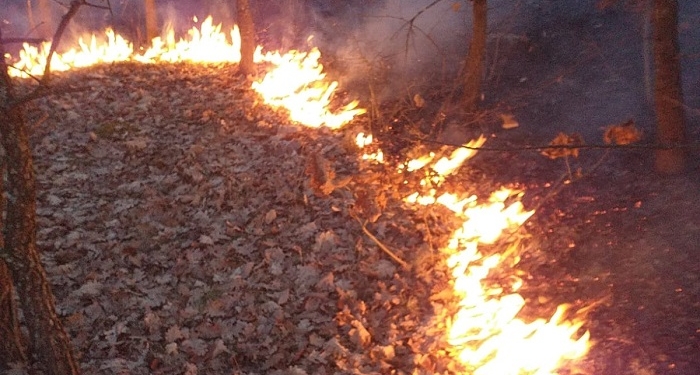 36 de incendii de vegetație uscată în Timiș, în ultimele două zile