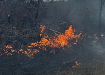 25 de incendii de vegetație uscată în Timiș, luni