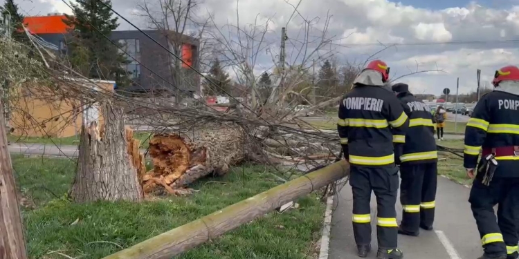 Copaci și semafoare, la pământ din cauza vântului puternic, la Timișoara
