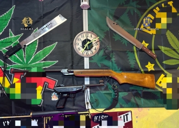 Zeci de percheziții la traficanți de droguri din Timiș și alte trei județe, inclusiv în două penitenciare