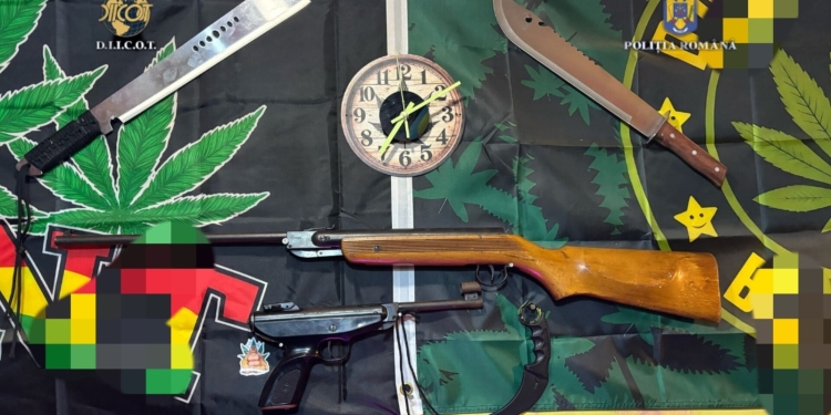 Zeci de percheziții la traficanți de droguri din Timiș și alte trei județe, inclusiv în două penitenciare