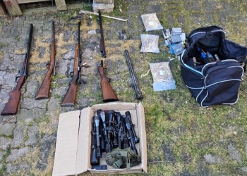 Polițiștii din Timiș, percheziție în Austria! Au fost ridicate zeci de arme FOTO