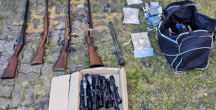 Polițiștii din Timiș, percheziție în Austria! Au fost ridicate zeci de arme FOTO