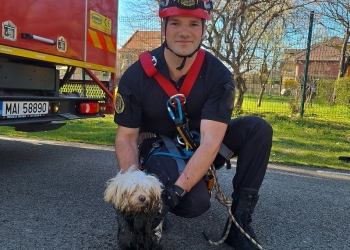 Un cățel care a căzut într-un canal, salvat de pompierii din Timișoara