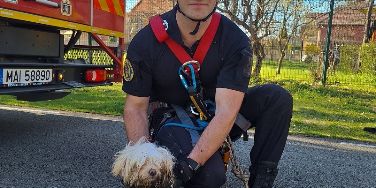 Un cățel care a căzut într-un canal, salvat de pompierii din Timișoara