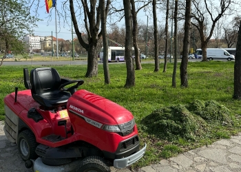 Cosirea „mozaic” ca-n Paris, Berlin sau Viena, se face și la Timișoara