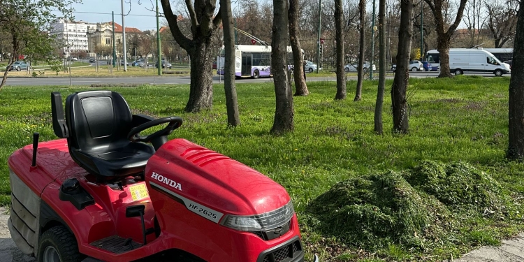 Cosirea „mozaic” ca-n Paris, Berlin sau Viena, se face și la Timișoara