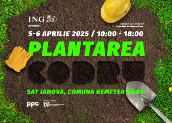 Plantări de copaci la Remetea Mare. Poate participa oricine