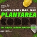 Plantări de copaci la Remetea Mare. Poate participa oricine