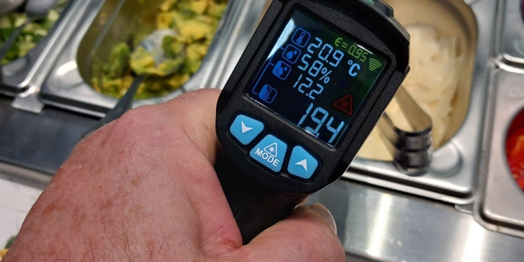 „Recolta” lui Piedone de la Timișoara: 14 restaurante, fast-food-uri și brutării închise temporar