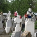 Bărbat mort, găsit în anexa unui cimitir din Timișoara