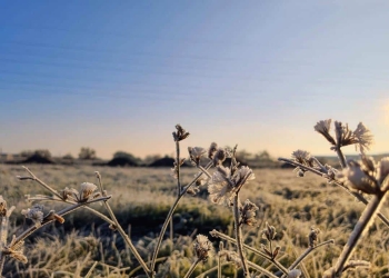 Vreme deosebit de rece în această săptămână, în Banat