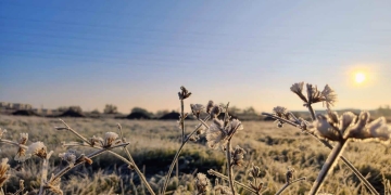 Vreme deosebit de rece în această săptămână, în Banat