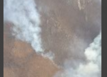 Intervenții aeriene și terestre pentru stingerea numeroaselor incendii de vegetație uscată din Banat