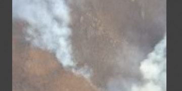 Intervenții aeriene și terestre pentru stingerea numeroaselor incendii de vegetație uscată din Banat