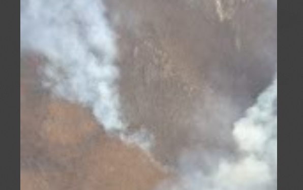 Intervenții aeriene și terestre pentru stingerea numeroaselor incendii de vegetație uscată din Banat