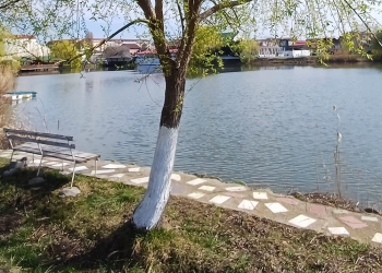 Descoperire macabră! Trupul unui bărbat plutea pe balta din zona Dâmbovița din Timișoara