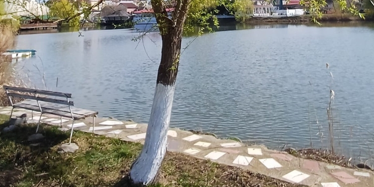 Descoperire macabră! Trupul unui bărbat plutea pe balta din zona Dâmbovița din Timișoara