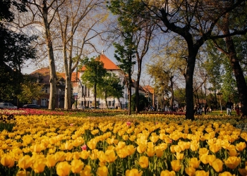 Timișoara se prezintă în trei țări ca destinația perfectă de primăvară