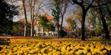 Timișoara se prezintă în trei țări ca destinația perfectă de primăvară