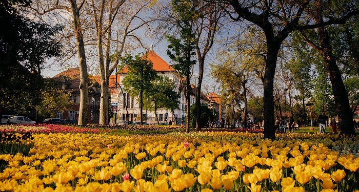 Timișoara se prezintă în trei țări ca destinația perfectă de primăvară