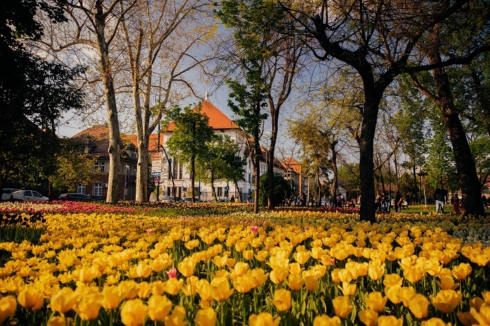 Timișoara se prezintă în trei țări ca destinația perfectă de primăvară