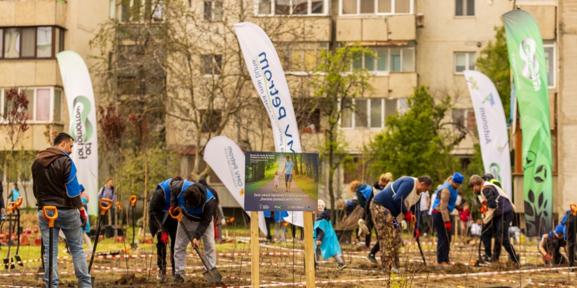 Mii de arbori, arbuști și plante perene plantate în cartierul Fabric din Timișoara