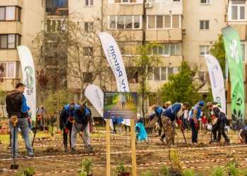 Mii de arbori, arbuști și plante perene plantate în cartierul Fabric din Timișoara