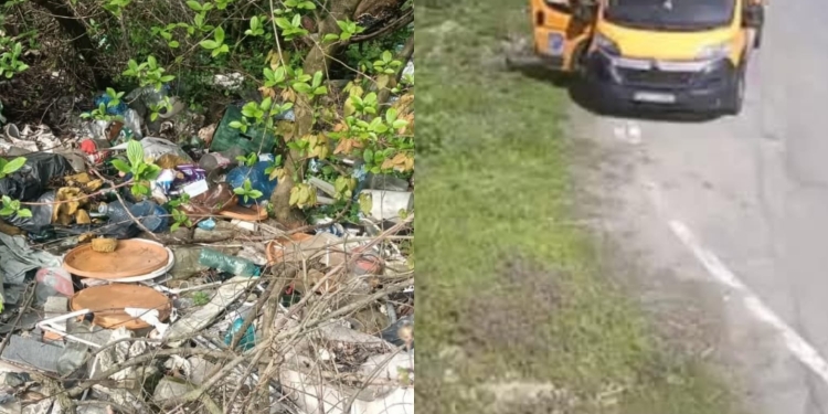 Prins în flagrant! Șofer filmat în timp ce arunca gunoaie pe un drum din Timiș
