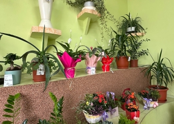 Culoare și parfum pe mesele de sărbători!