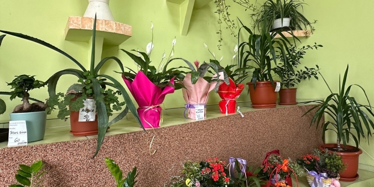 Culoare și parfum pe mesele de sărbători!